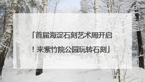 首届海淀石刻艺术周开启！来紫竹院公园玩转石刻