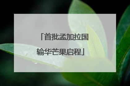 首批孟加拉国输华芒果启程