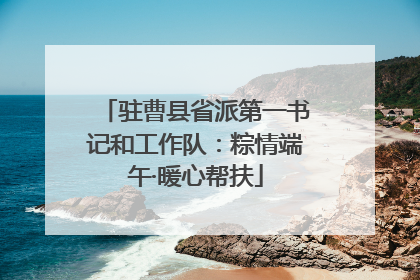 驻曹县省派第一书记和工作队：粽情端午·暖心帮扶