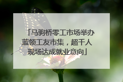 马驹桥零工市场举办蓝领工友市集，超千人现场达成就业意向