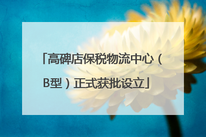高碑店保税物流中心（B型）正式获批设立