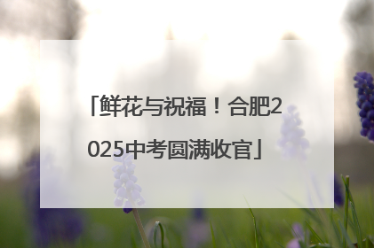 鲜花与祝福！合肥2025中考圆满收官