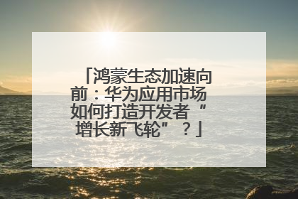 鸿蒙生态加速向前：华为应用市场如何打造开发者“增长新飞轮”？