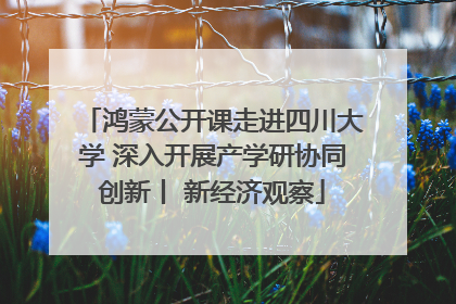 鸿蒙公开课走进四川大学 深入开展产学研协同创新丨 新经济观察