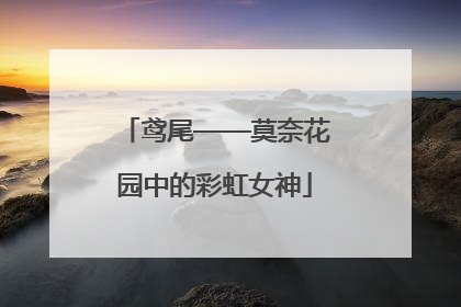 鸢尾——莫奈花园中的彩虹女神