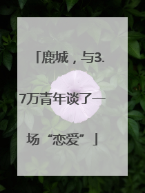 鹿城，与3.7万青年谈了一场“恋爱”