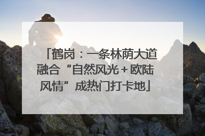 鹤岗：一条林荫大道融合“自然风光＋欧陆风情”成热门打卡地