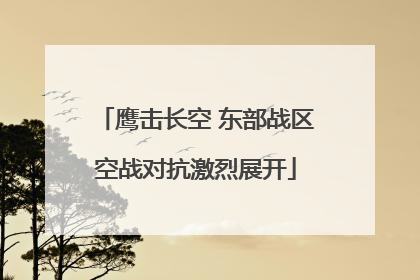 鹰击长空 东部战区空战对抗激烈展开