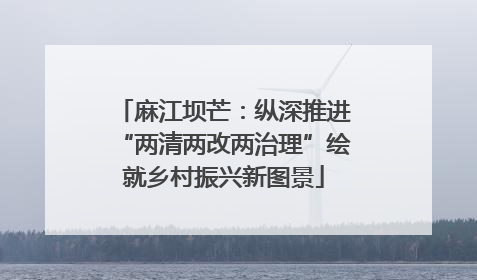 麻江坝芒：纵深推进“两清两改两治理”绘就乡村振兴新图景