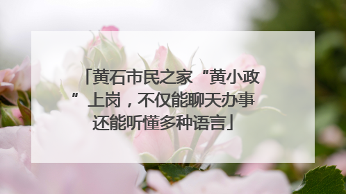 黄石市民之家“黄小政”上岗，不仅能聊天办事还能听懂多种语言