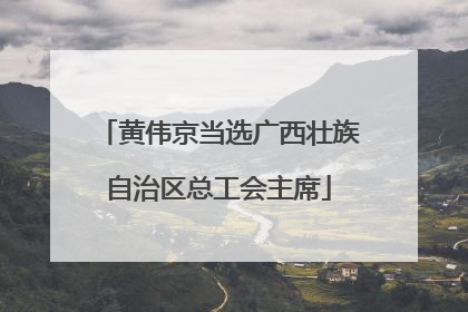 黄伟京当选广西壮族自治区总工会主席