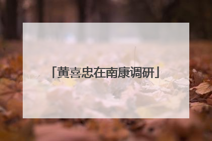 黄喜忠在南康调研