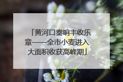 黄河口奏响丰收乐章——全市小麦进入大面积收获高峰期