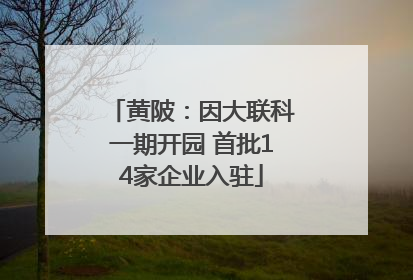 黄陂：因大联科一期开园 首批14家企业入驻