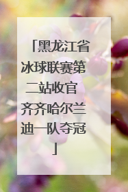 黑龙江省冰球联赛第二站收官 齐齐哈尔兰迪一队夺冠