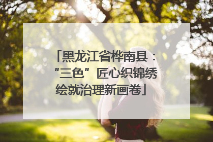 黑龙江省桦南县：“三色”匠心织锦绣 绘就治理新画卷