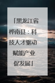 黑龙江省桦南县：科技人才驱动 赋能产业促发展