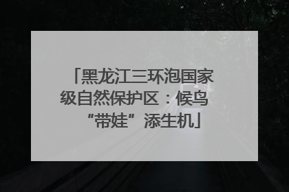 黑龙江三环泡国家级自然保护区：候鸟“带娃”添生机