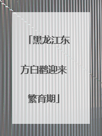 黑龙江东方白鹳迎来繁育期