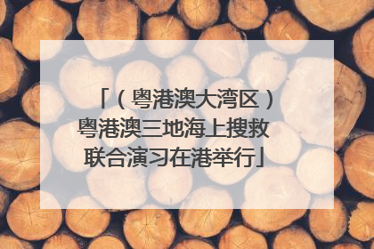 （粤港澳大湾区）粤港澳三地海上搜救联合演习在港举行
