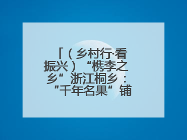 （乡村行·看振兴）“槜李之乡”浙江桐乡：“千年名果”铺就乡村共富路