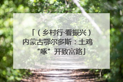 （乡村行·看振兴）内蒙古鄂尔多斯：土鸡“啄”开致富路