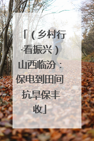 （乡村行·看振兴）山西临汾：保电到田间 抗旱保丰收