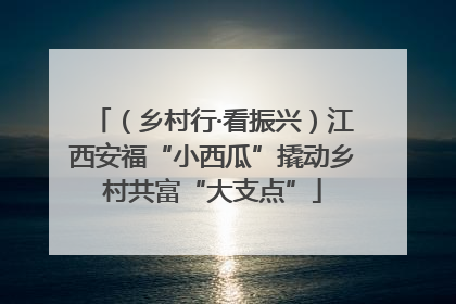 （乡村行·看振兴）江西安福“小西瓜”撬动乡村共富“大支点”