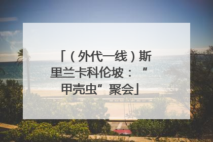 （外代一线）斯里兰卡科伦坡：“甲壳虫”聚会