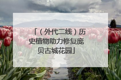 （外代二线）历史植物助力修复庞贝古城花园