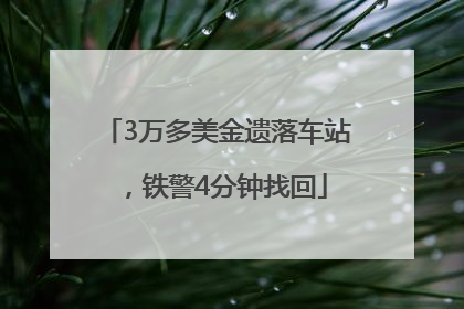 3万多美金遗落车站，铁警4分钟找回