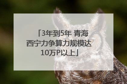 3年到5年 青海西宁力争算力规模达10万P以上