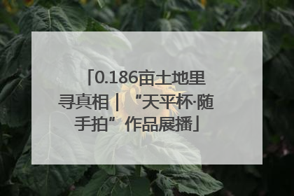 0.186亩土地里寻真相｜“天平杯·随手拍”作品展播