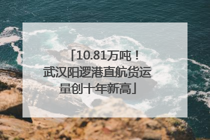10.81万吨！武汉阳逻港直航货运量创十年新高