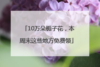 10万朵栀子花，本周末这些地方免费领
