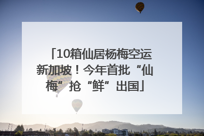 10箱仙居杨梅空运新加坡！今年首批“仙梅”抢“鲜”出国