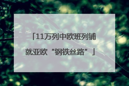 11万列中欧班列铺就亚欧“钢铁丝路”