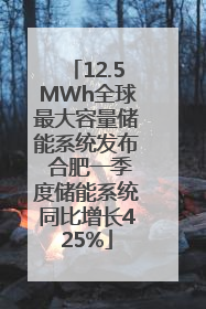 12.5MWh全球最大容量储能系统发布 合肥一季度储能系统同比增长425%