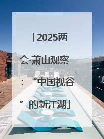 2025两会·萧山观察：“中国视谷”的新江湖