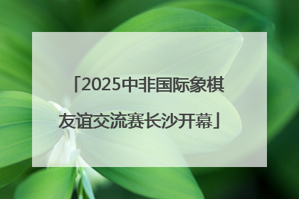 2025中非国际象棋友谊交流赛长沙开幕