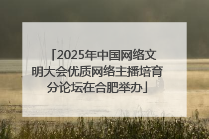 2025年中国网络文明大会优质网络主播培育分论坛在合肥举办