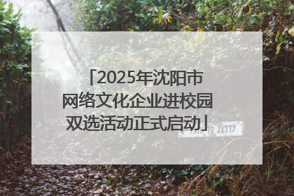 2025年沈阳市网络文化企业进校园双选活动正式启动