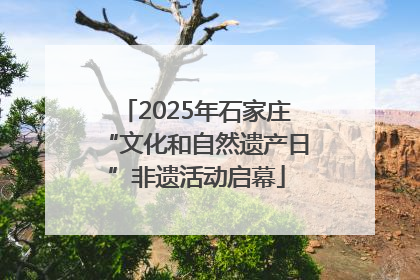 2025年石家庄“文化和自然遗产日”非遗活动启幕