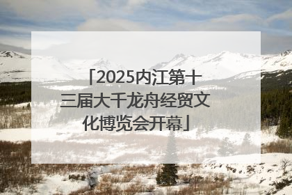 2025内江第十三届大千龙舟经贸文化博览会开幕