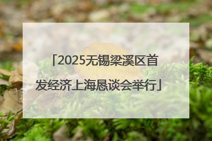 2025无锡梁溪区首发经济上海恳谈会举行