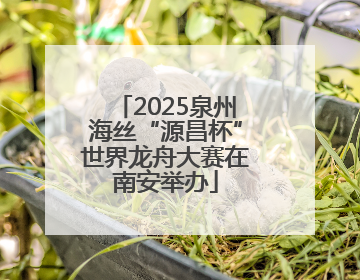 2025泉州海丝“源昌杯”世界龙舟大赛在南安举办