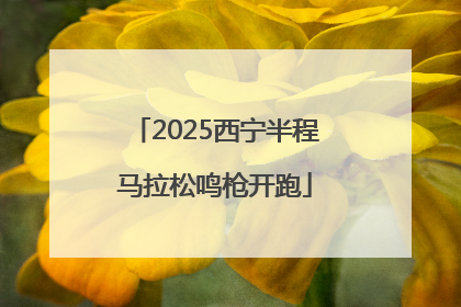 2025西宁半程马拉松鸣枪开跑