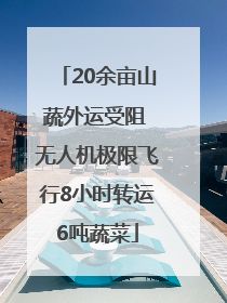 20余亩山蔬外运受阻 无人机极限飞行8小时转运6吨蔬菜