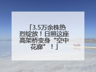 3.5万余株热烈绽放！日照这座高架桥变身“空中花廊”！