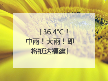 36.4℃！中雨！大雨！即将抵达福建